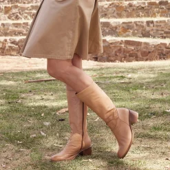 ROCHELLE><noscript><img width=