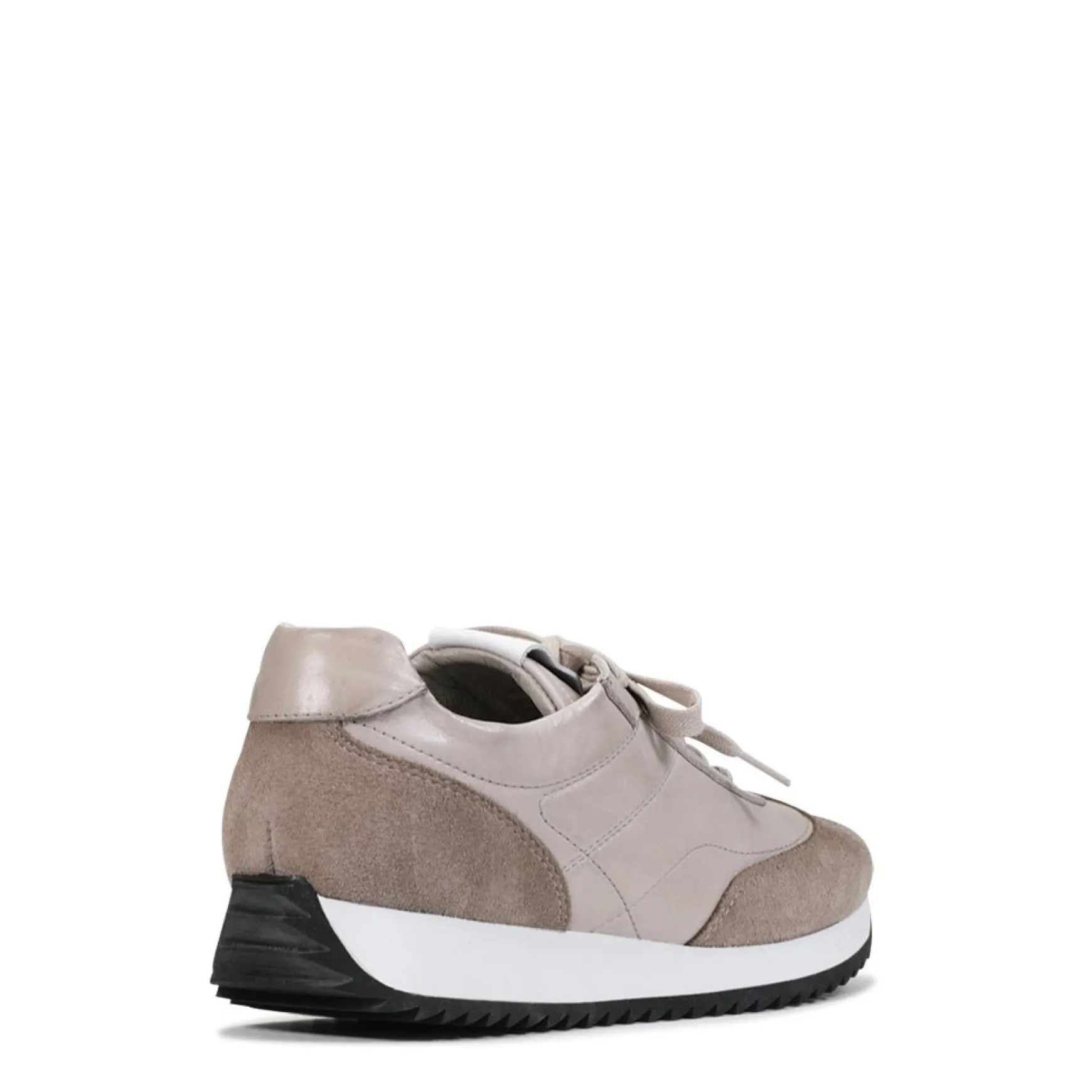 SPRINGER ARCHIVE SNEAKERS>EOS Footwear New