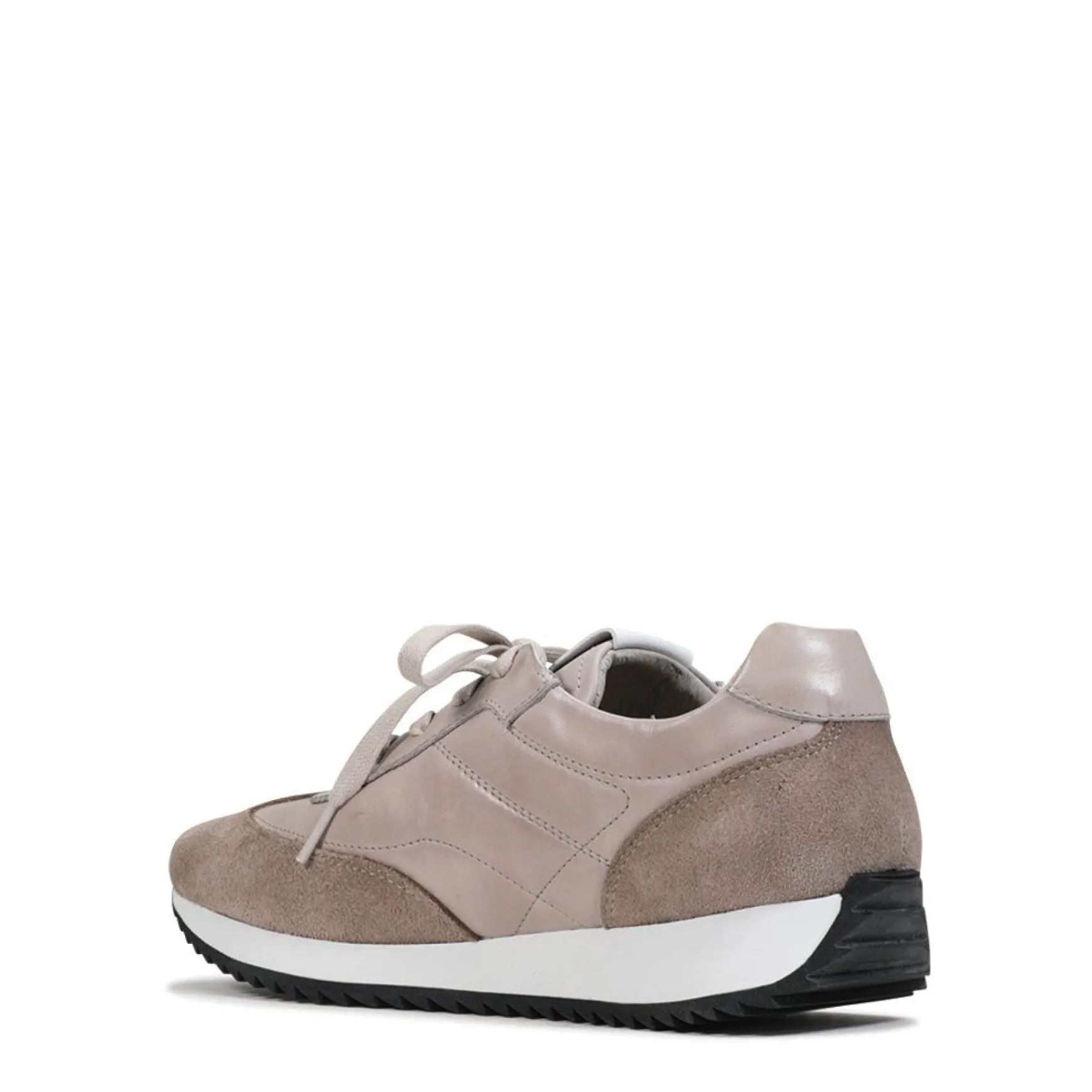 SPRINGER ARCHIVE SNEAKERS>EOS Footwear New